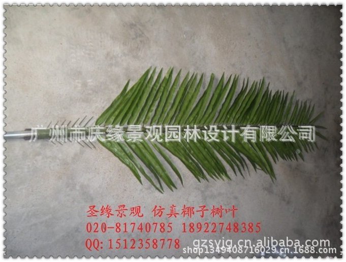 qq图片20130614101712