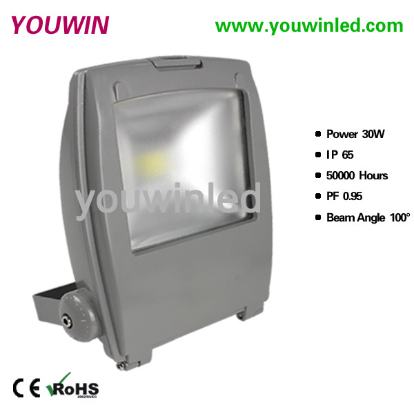 YW2022-30W-1