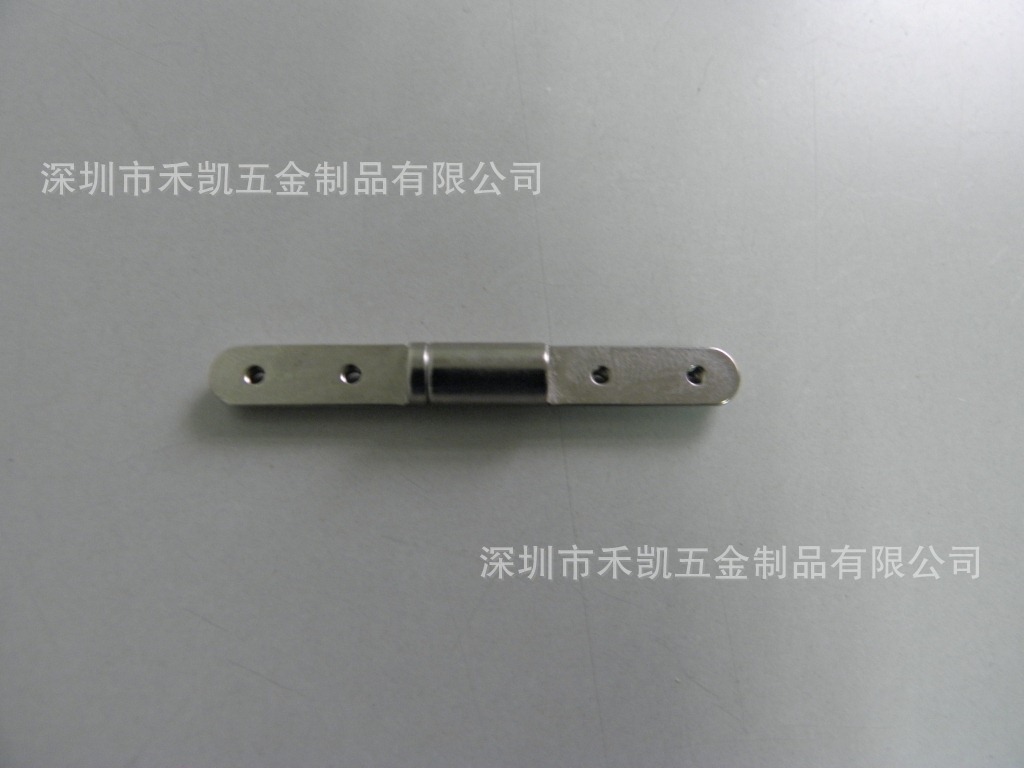 P4010183