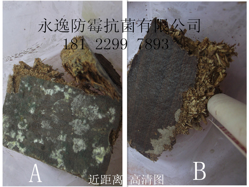 木头高清永逸实验图