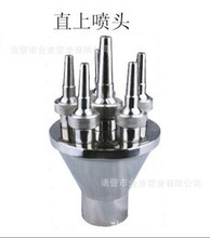 金美工廠 水景景觀噴頭 不銹鋼噴頭 不銹鋼直上噴頭 直射噴嘴