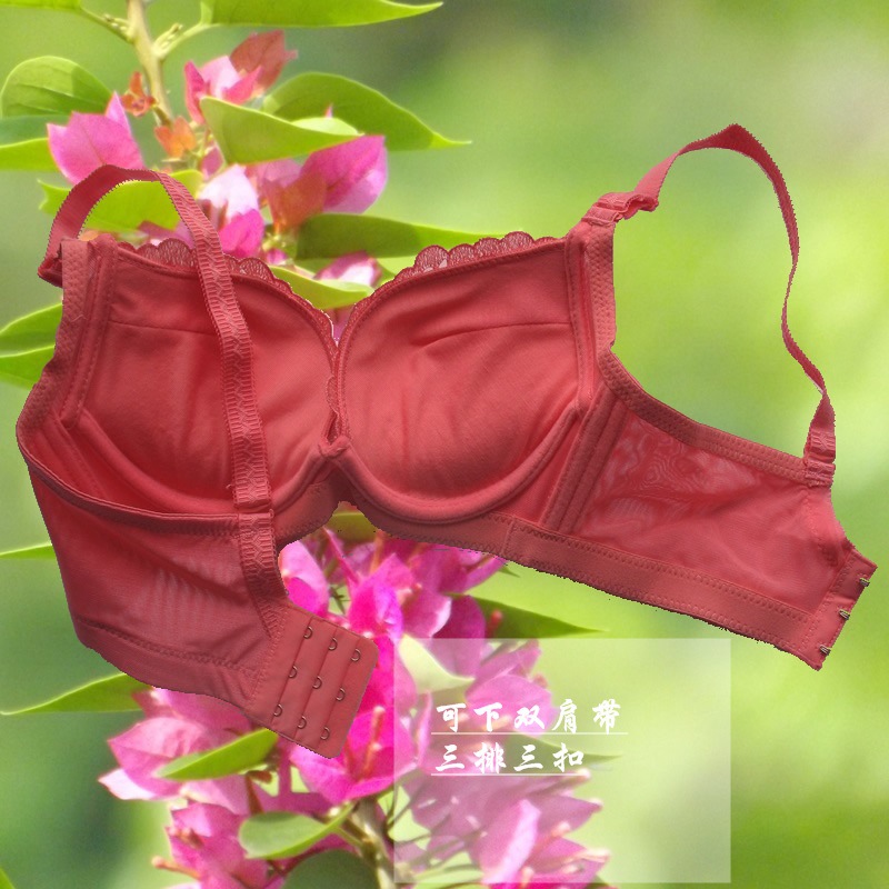 <em>文胸</em>-加盟<em>代理</em>/黛安芬<em>品牌文胸</em> F1552刺绣玫瑰