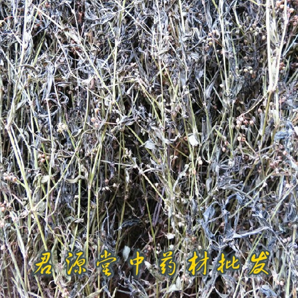 纯野生中草药【白花蛇舌草】肝炎 阑尾炎 各种癌肿 白花蛇舌草批