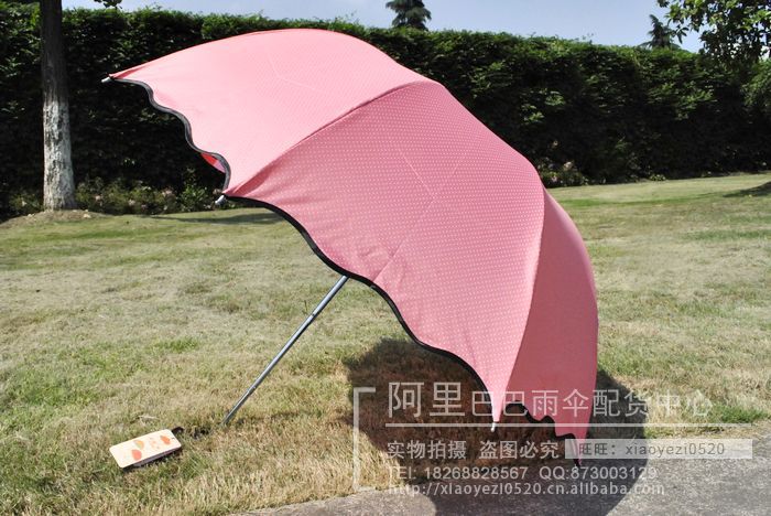 nEO_IMG__DSC0895
