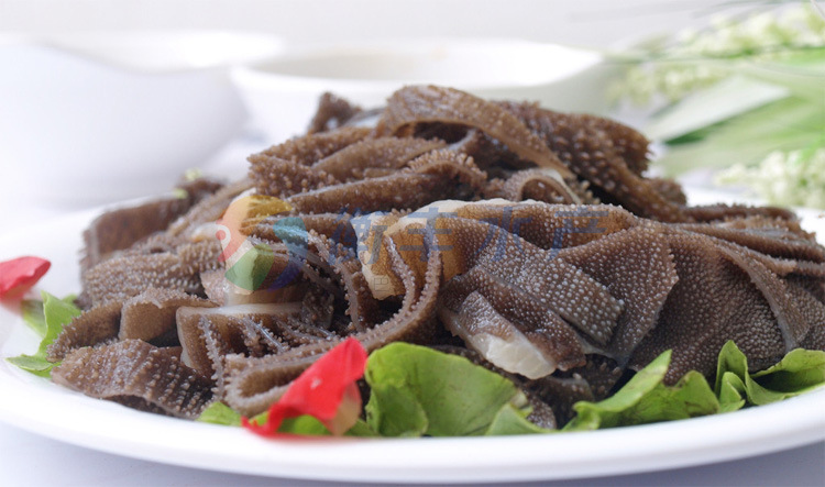 【新鲜牛百叶生肉 专业批发优质冷冻牛肚 酒店