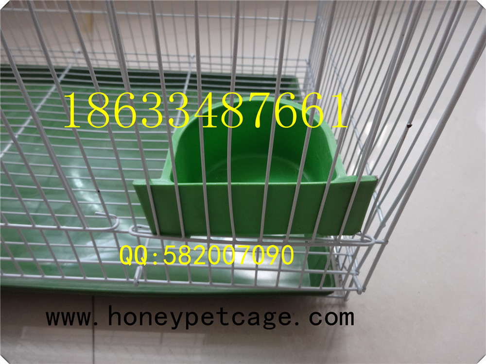 铁丝鸟笼 小群 (13)