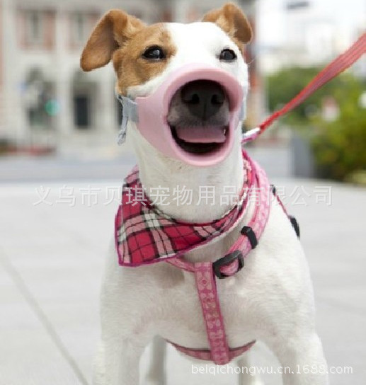 高加索犬种犬大型犬猛犬图片,高加索犬种犬大