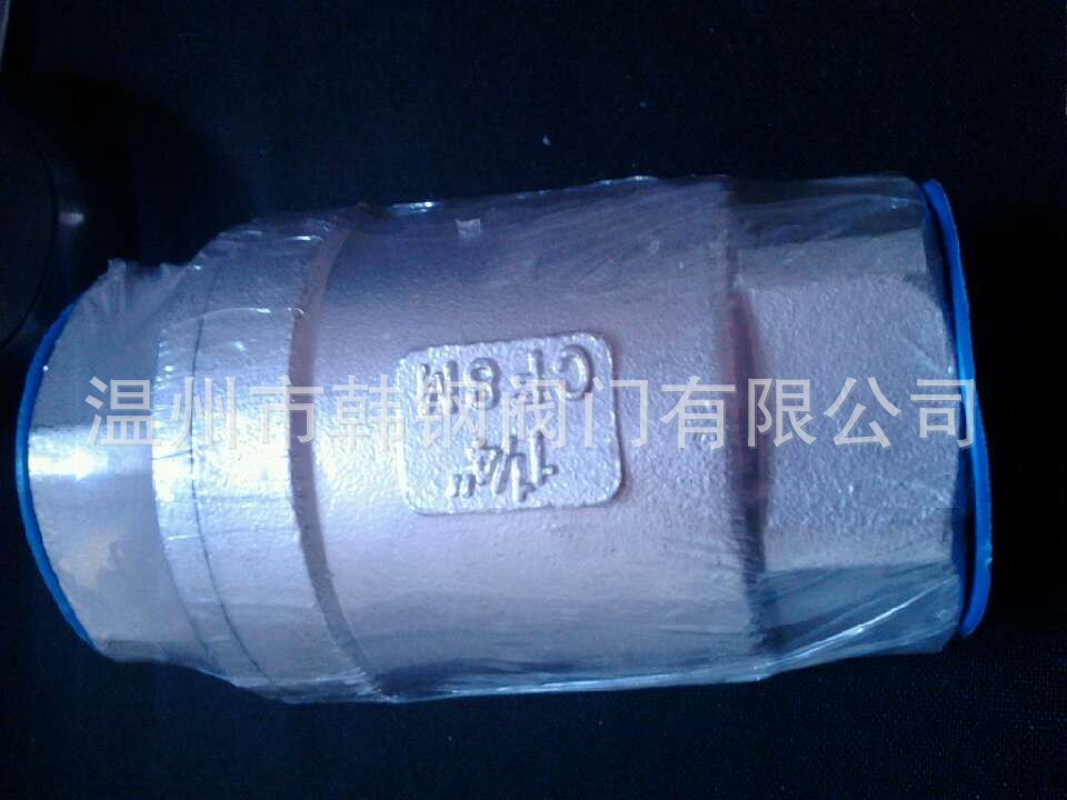 立式止回阀 (23)