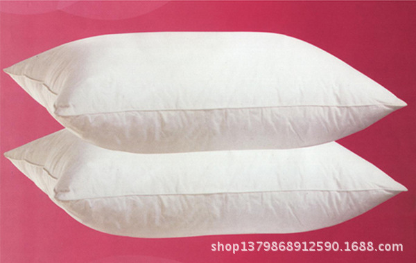 50x35cm inflatable pillow(JSA-