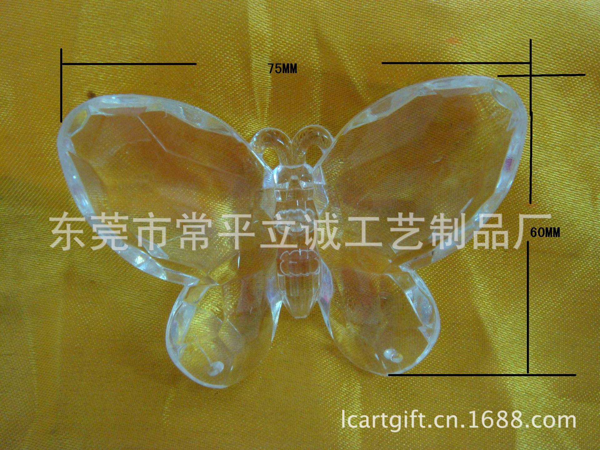 DSC05517