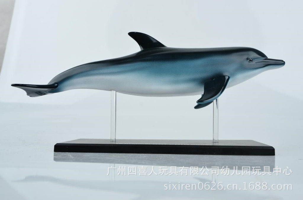 4d master 中小学生动物海豚标本解剖模型 ha26103