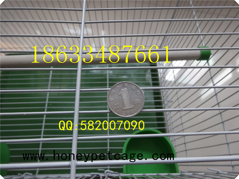 铁丝鸟笼 小群 (15)