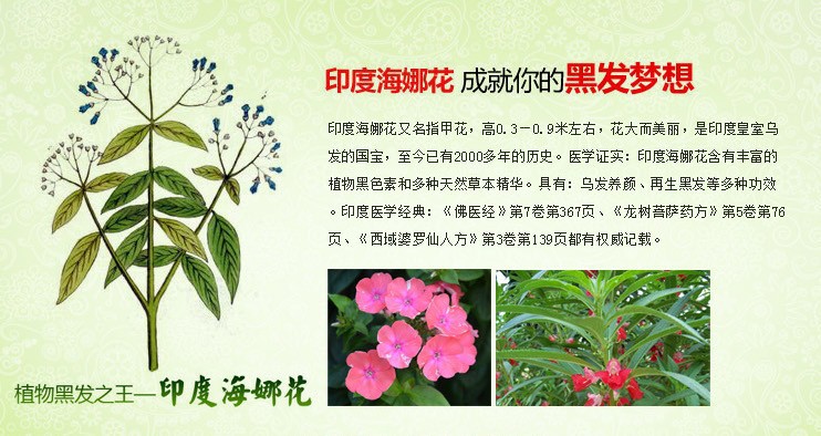 【印度海娜花染发剂厂家魔摸迪海娜花黑发露一