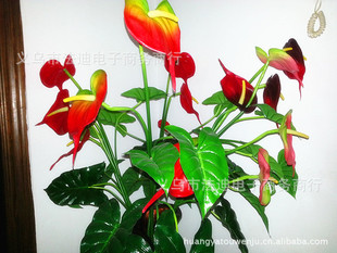 购仿真植物-新款鲜艳摆设花朵 高仿真植物花 塑