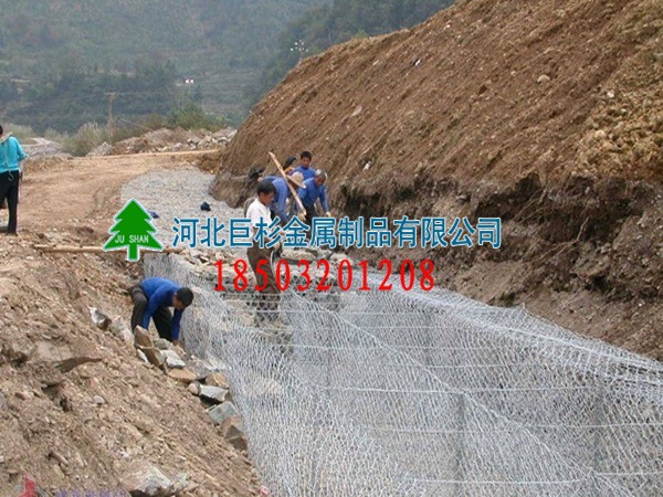 11091216277d238e47a5d27569