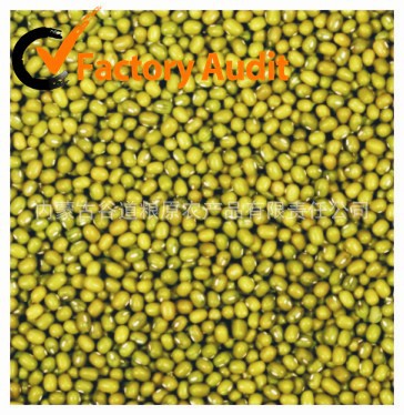 mung bean 绿豆OK