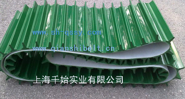 绿色无缝挡板输送带 拷贝