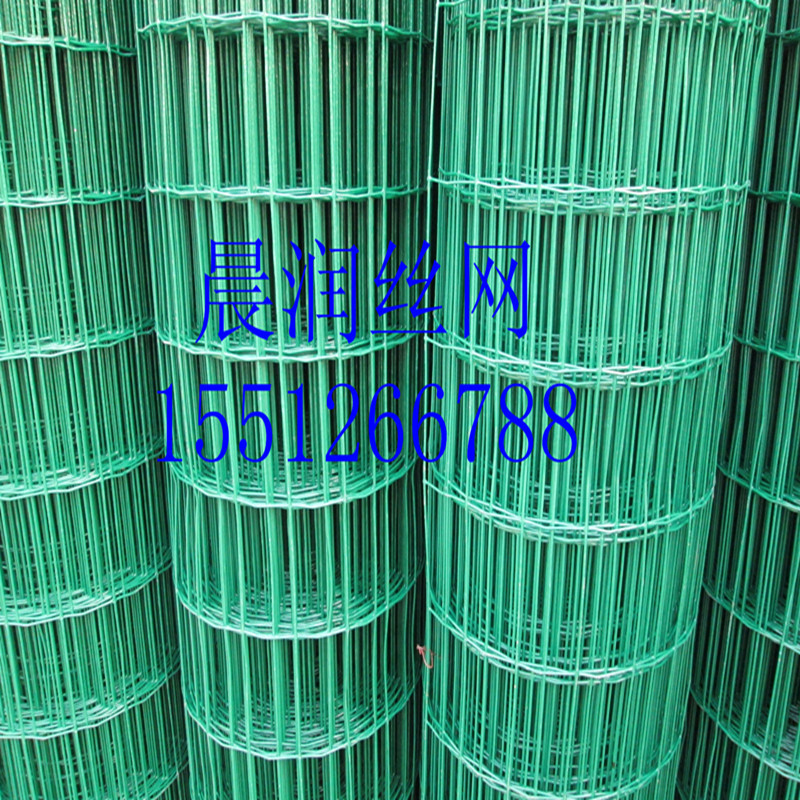 荷兰网 006_副本