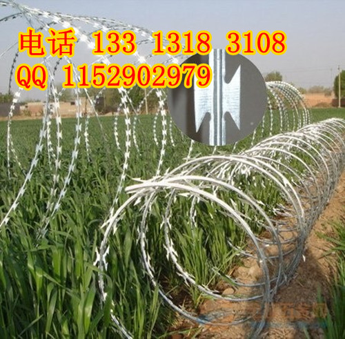 IMG111222100049171933_副本