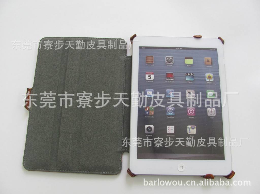 Ipad 套 (73)