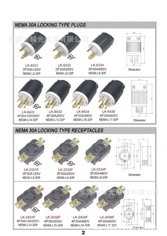 Locking Plug  (2)