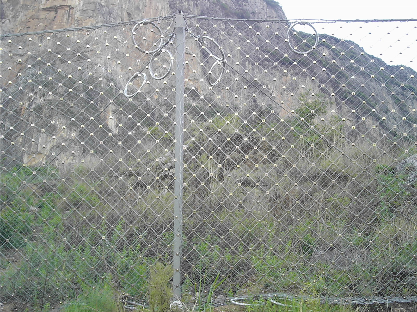 IMAG0012