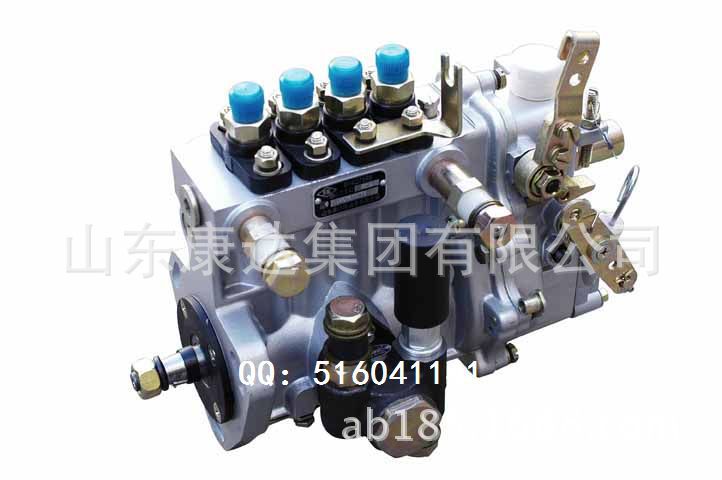 BQ2000型喷油泵总成 - 副本