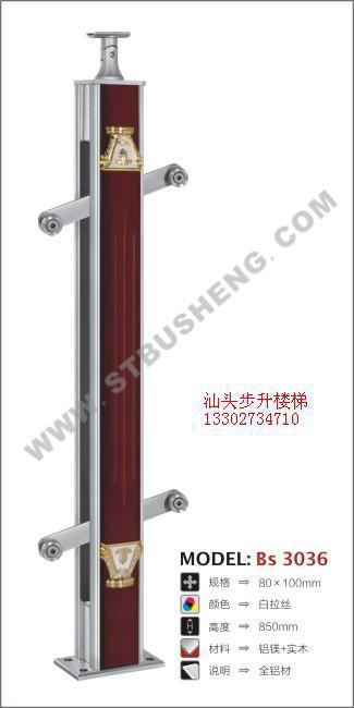 Bs 3036