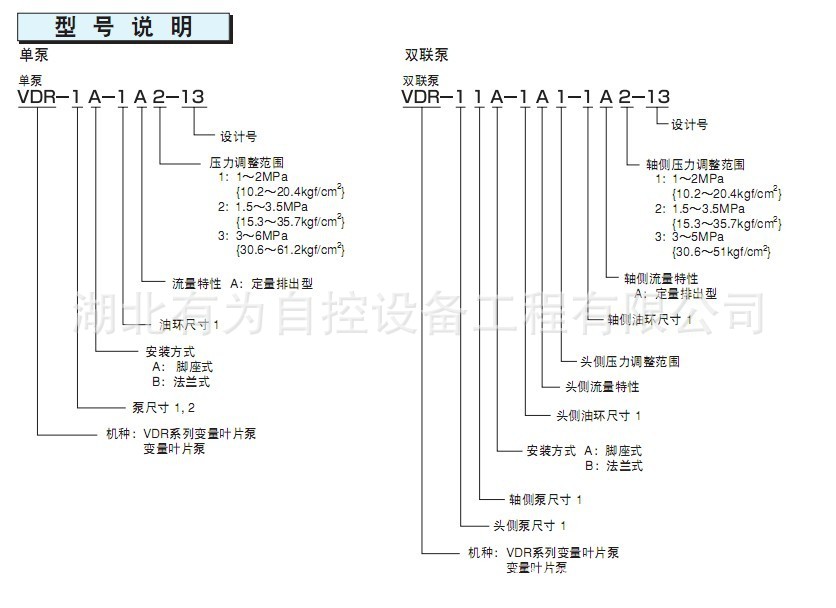 VDR13双联泵2