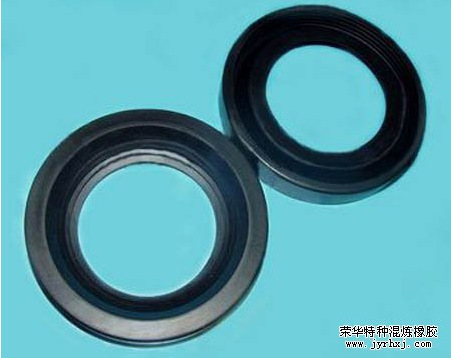 密封圈1
