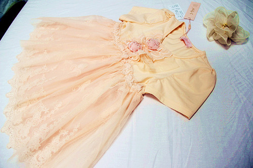 2013春款笛莎儿童短纱裙长袖套装中大童套装