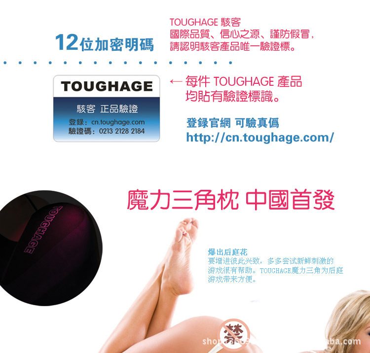 美國駭客TOUGHAGE 魔力三角枕