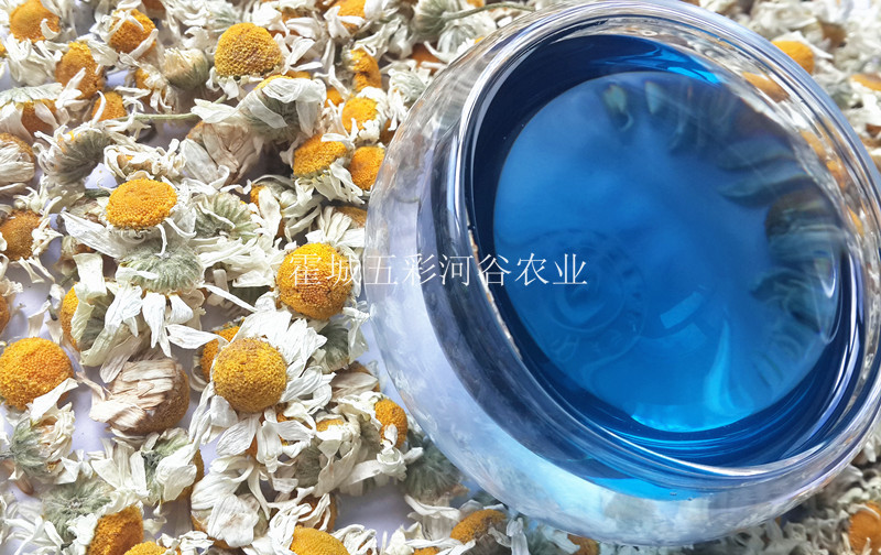 批发新疆伊犁69团产罗马洋甘菊精油小瓶,2013年新货,淡蓝色