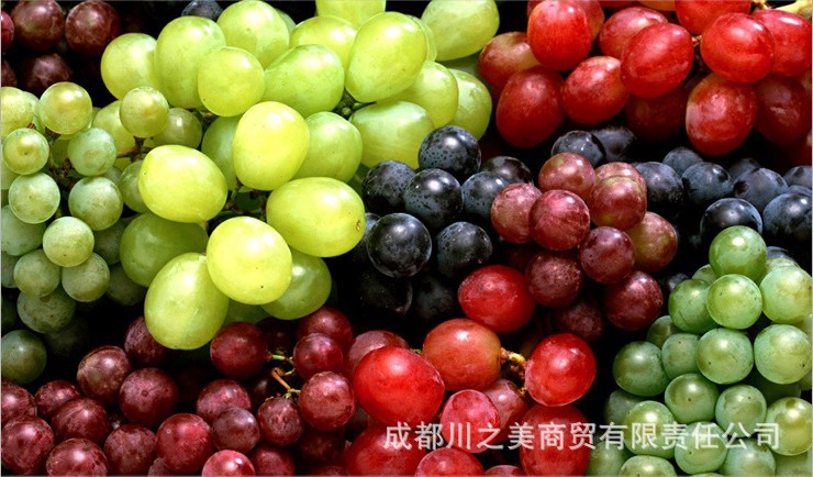 【新疆特产 优级黄提干 葡萄干 纯净10公斤散装