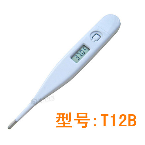 T12B