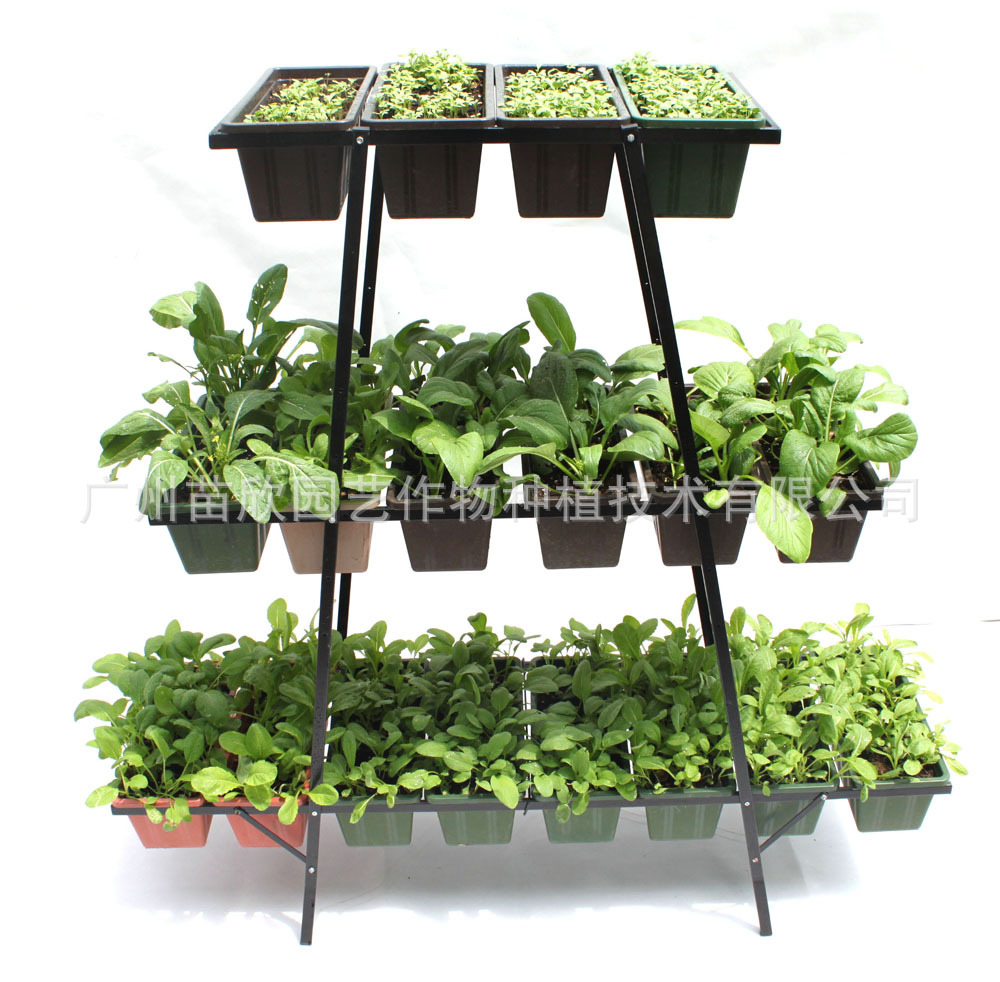 【【新品上市】阳台种菜 露天台种植 弧形盆+