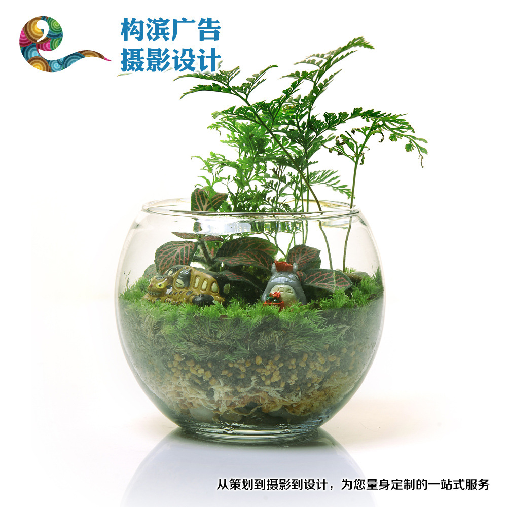 建筑业统一发票为什么有的上面交印花税,印花