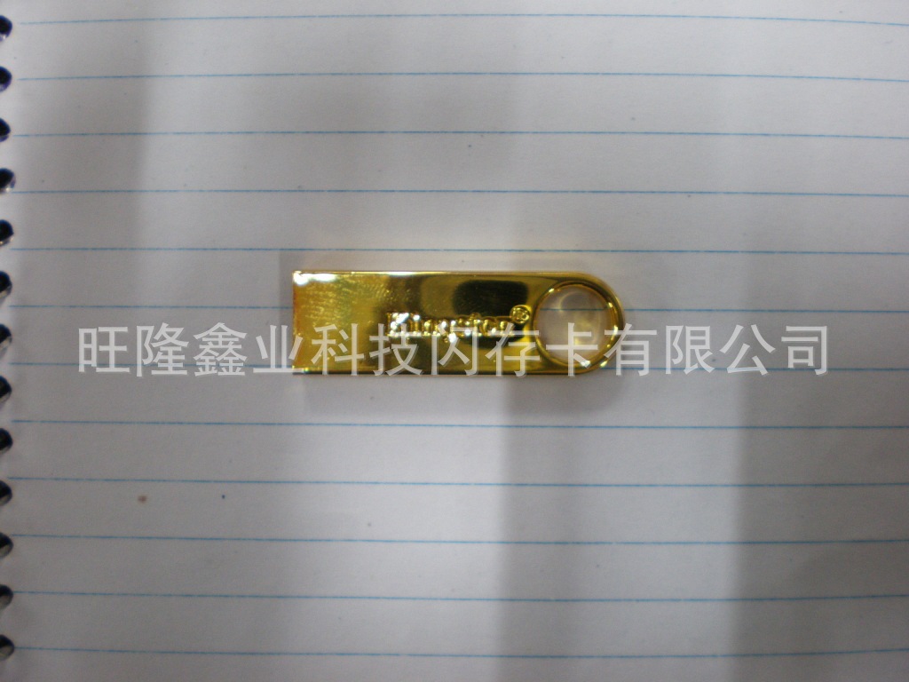 P1011202
