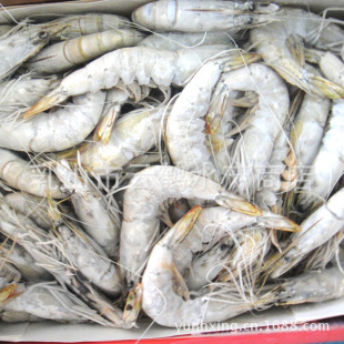 冷冻粗加工水产品-酒店 饭店专用虾 沙特虾 口