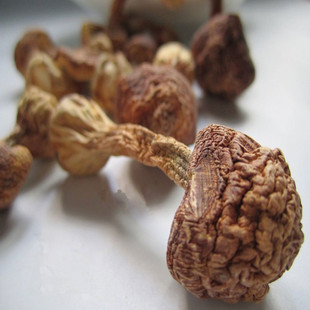 干食用菌 山货产地直销 顶级姬松茸 特级巴西菇 福建 云南特产