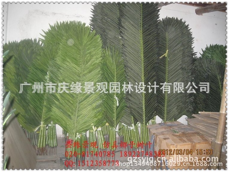 qq图片20130614101652