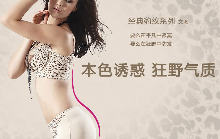 <em>文胸</em>-正品新款<em>文胸</em>豹纹小<em>胸罩带精油水袋</em>聚拢