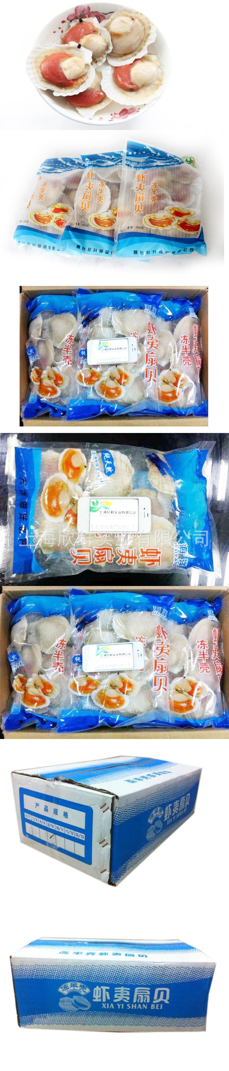 名:扇贝 产 地:辽宁 净 重:1000g 包 装:10*1000g 储 藏-18°c 冷冻