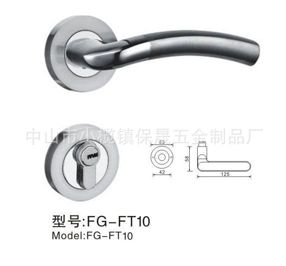 FG-FT10