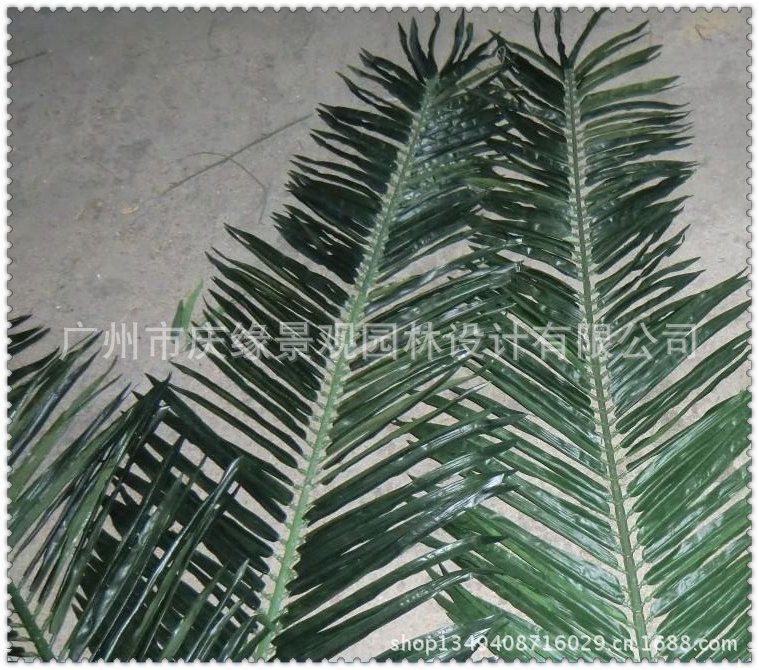 qq图片20130614101728