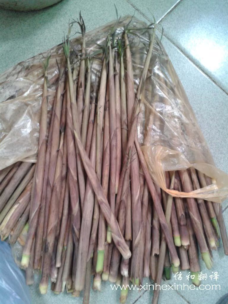 YC）家乡的山竹笋-+-+阿里巴巴商人论坛