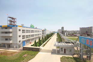 江苏辉丰农化股份有限公司