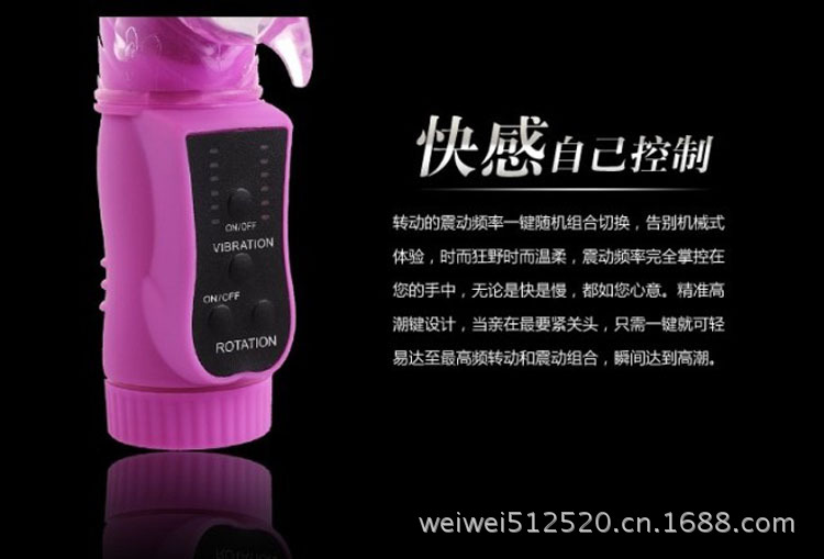 邦愛無敵海豚08