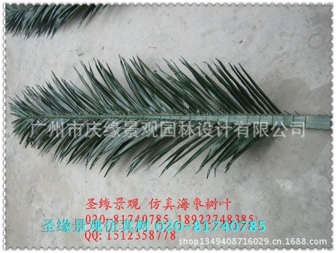 qq图片20130614101726