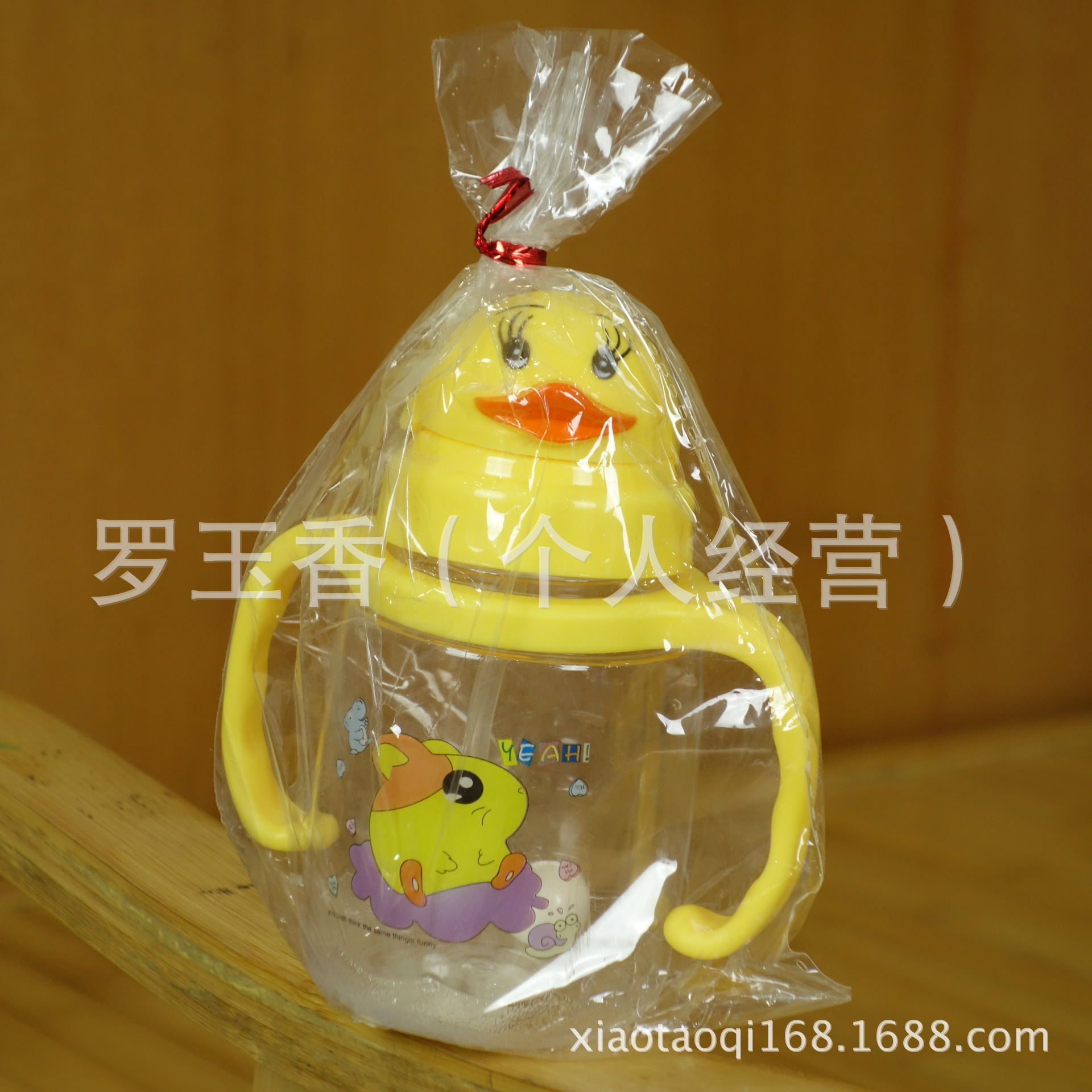 DSC00540